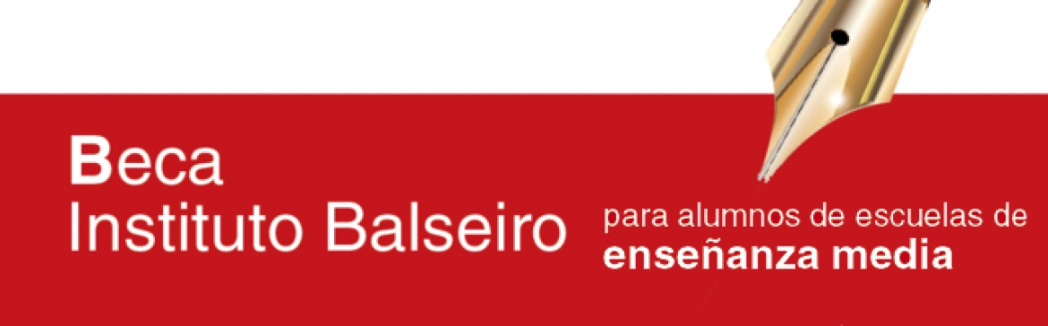 Beca Instituto Balseiro 2013