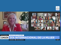 Karen Hallberg en el encuentro virtual de la Banca de la Mujer. Crédito: captura YouTube Senado de la Nación Argentina.