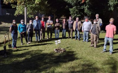 EL INSTITUTO BALSEIRO SE SUMÓ A LA INICIATIVA “PLANTAMOS MEMORIA”