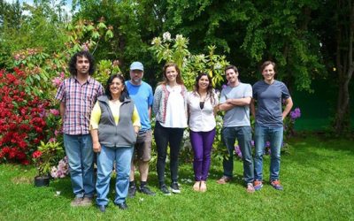 DISEÑAN UN MÉTODO ESTADÍSTICO PARA DILUCIDAR LA NATURALEZA DEL DESORDEN EN SISTEMAS INTERACTUANTES