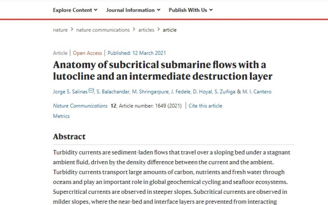 PAPERS EN PRIMERA PERSONA: “SUMERGIRSE” EN RÍOS SUBMARINOS GRACIAS A SIMULACIONES COMPUTACIONALES