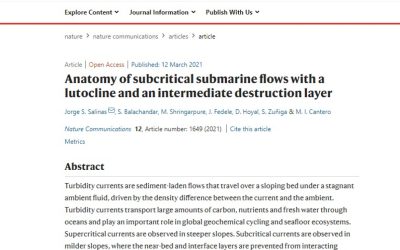 PAPERS EN PRIMERA PERSONA: “SUMERGIRSE” EN RÍOS SUBMARINOS GRACIAS A SIMULACIONES COMPUTACIONALES