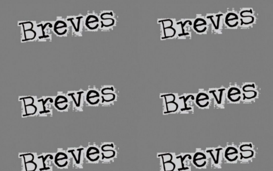 NOTICIAS BREVES DEL MES DE FEBRERO– 2021