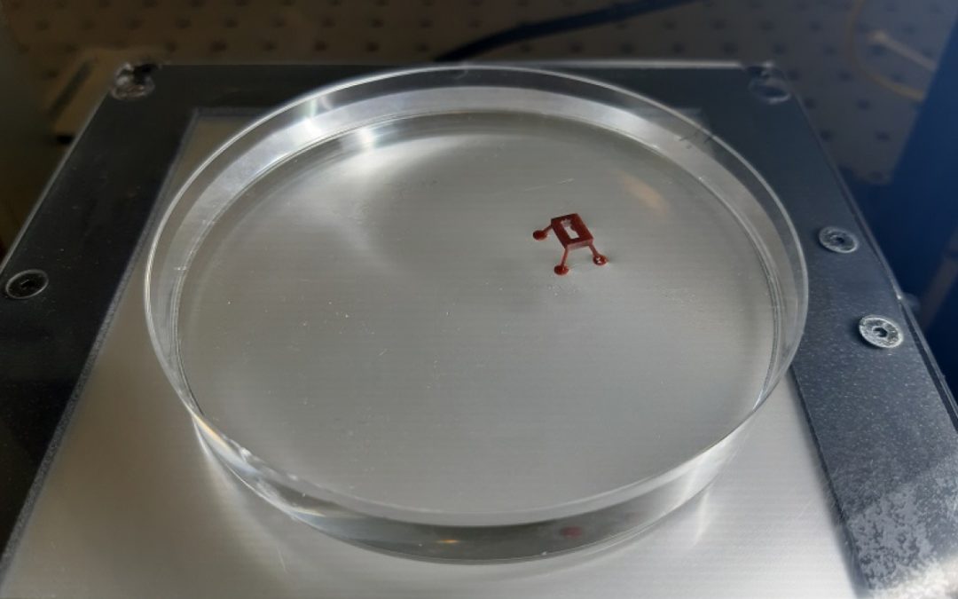 INGENIERO EGRESADO DEL BALSEIRO PARTICIPA EN LA CREACIÓN DE UN MICRO ROBOT QUE “CAMINA” SOBRE EL AGUA