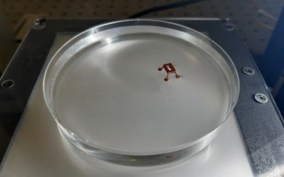 INGENIERO EGRESADO DEL BALSEIRO PARTICIPA EN LA CREACIÓN DE UN MICRO ROBOT QUE “CAMINA” SOBRE EL AGUA