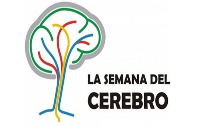 SE VIENE LA SEMANA DEL CEREBRO 2018 EN BARILOCHE