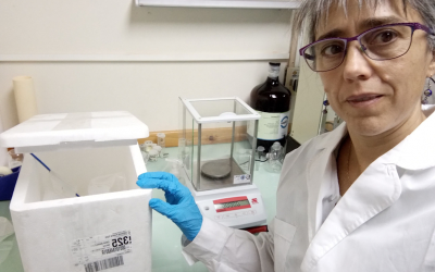 ESTUDIANTES, DOCENTES Y EGRESADOS DEL BALSEIRO PARTICIPAN EN PROYECTOS PARA ENFRENTAR LA PANDEMIA