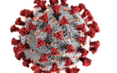 EL INSTITUTO BALSEIRO TOMA MEDIDAS POR EL CORONAVIRUS COVID-19