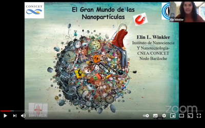 UNA DOCENTE DEL BALSEIRO BRINDÓ UNA CHARLA VIRTUAL SOBRE NANOPARTÍCULAS MAGNÉTICAS