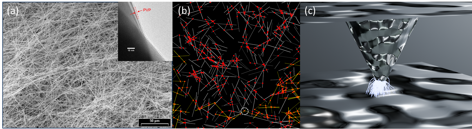 Fig2